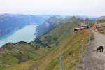 Station BRB Rothorn Kulm kurz vor unserer Talfahrt: der Schnee ist zwar geschmolzen, aber es ist immer noch kalt... Unsere frz. Bulldogge Lea stört das jedoch nicht so sehr. Aufnahme am 25. Aug. 2014, 11:11