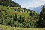 Nach einem kurzen Halt in Planalp geht es nun mit einer ölgefeuerten H 2/3 hinunter ins Tal.
(07.07.2016)