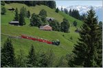 Die BRB H 2/3 N° 16 mit Zug 10 auf Talfahrt kurz nach Planalp.