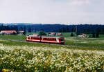 CJ: Frühlingsidylle auf der CJ im April 2002 mit einem BDe 4/4 II - Pendelzug auf der Fahrt von Le Noirmont nach Tavannes.