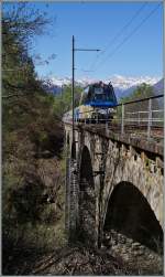 Ein SSIF ABe 12/16 (ABe/P/Be/Be)  Treno Panoramico Vigezzo Vison  auf der Fahrt von Domodossola nach Locarno zwischen Verigo und Marone.
15. April 2014