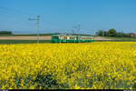 BFS-Fotofahrt auf der BAM mit Be 4/4 14 und Bt 53 am 6.