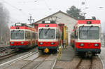 Vor dem Lokschuppen in Waldenburg konnte ich mehrere Triebwagen der Waldenburgerbahn fotografieren.