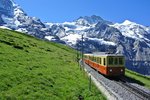 BDhe 2/4 Nr. 206 mit Bt 30 zwischen Kleine Scheidegg und Eigergletscher, 18.07.2016.