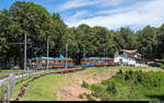 Ferrovia Monte Generoso Bhe 4/8 14  San Gallo  und Bhe 4/8 11  Mendrisio  am 20. Juni 2020 in der Kreuzungsstation Bellavista.
