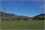 Zwischen Gstaad und Saanen zieht die MOB GDe 4/4 6004  Interlaken  ihren MOB Panoramic Zug 3115 Richtung Montreux.