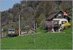 Die MOB GDe 4/4 6003 fährt mit einem GoldenPass Panoramic bei der Haltestelle von Sonzier durch.

3. April 2017