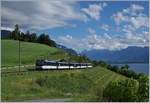 Die MOB Ge 4/4 8002 fährt mit ihrem MOB Golden Pass Panoramic Express PE 2234 durch die Rebberge oberhalb von Montreux bei Planchmp in Richtung Zweisimmen.

29. Juni 2020