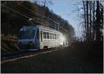 Schatten und Gegenlicht bilden den Rahmen des CEV MVR BDh 2/4 71 der bei Bois de Chexbres auf der Fahrt nach Blonay ist. 

23. Dezember 2023 