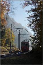 Der CEV BDeh 2/4 73 als Regionalzug 1379 verlässt den leicht nebeldurch zogenen Bois de Chexbres und erreicht in wenigen Minuten Fayaux.