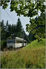 Der Rochers de Naye Beh 4/8 305 als Regionalzug 3360 auf der Tal-Fahrt kurz vor der Haltestelle Crt-y-Bau.