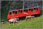 Wagen 26 auf Bergfahrt auf der Alp Matt. (03.07.2014)