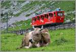 Wagen 25 auf der Alp Matt Richtung Pilatus Kulm.