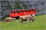 Wagen 26 auf der Alp Matt Richtung Pilatus Kulm.