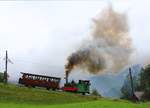 Der Dampfzug der Schynigen Platte Bahn (Lok H2/3 5 mit Personenwagen 21) kämpft sich den Berg hinauf mit enormer Rauchentwicklung und wildem Fauchen, das noch lange hörbar bleibt.
