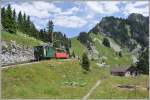 Auf der Alp Bigelti. (06.07.2013)