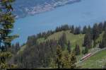 Beides historisch: Der Zug der Schynige Platte Bahn, der mit Lok 62 oberhalb von Breitlauenen bergwärts fährt, und das Dampfschiff Lötschberg, welches auf dem Brienzersee in Richtung