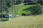 40 Grün-Töne soll es in Irland geben doch ein Blick auf dieses Bild zeigt, dass auch das Chablais mit zahlreichen Grün Variationen aufwartet. 

Im Bild der TPC (ASD AOMC) Beh 2/6 545 auf der Fahrt von Aigle nach Champéry kurz vor Villy. 

9. Mai 2020