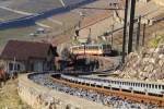 Winter in den Rebbergen von Aigle - der braune Zug der Aigle-Leysin-Bahn 302 + 351, 25.Januar 2016.