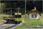 Etwas oberhalb von Lauterbrunnen schiebt der WAB Pano Bhe 4/8 150 seinen Zug Richtung Kleine Scheidegg. 
16. Okt. 2018
