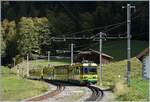 Etwas oberhalb von Lauterbrunnen schiebt der WAB Pano Bhe 4/8 150 seinen Zug Richtung Kleine Scheidegg.

16. Okt. 2018
