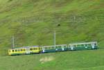 WAB - Talwrts Fahrender Pendelzug mit BDeh + B + Bt kurz nach dem Bahnhof der Kleinen Scheidegg am 16.06.2007.. Foto wurde aus einem Bergwrts Fahrenden Pendelzug der Jungfraubahn Geschossen