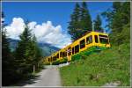 Oberhalb von Alpiglen kreuzt ein Langzug mit Bt 252 unseren Weg. (27.06.2012)