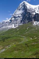 Blick von der Kleinen Scheidegg in Richtung Eiger. Die Wengernalpbahnstrecke nach Grindelwald fährt am Fusse der Eigernordwand entlang. Der regulären Komposition, bestehend aus zwei Panos, fahren am 24. Juni 2015 zwei BDhe 4/4-Kompositionen voraus.