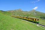 BDhe 4/8 134+132 sowie ein Gelenksteuerwagen unterhalb von kleine Scheidegg, 04.07.2016.