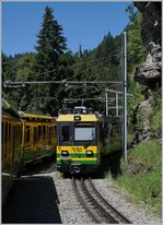 Das Trasse der WAB ist eng an die steile, felsige Landschaft geschmiegt und doch bleibt etwas oberhalb von Lauterbrunnen Platz für eine Kreuzungsstation, welche hier von einem Berg- und einem Talwärts fahrenden WAB Zug genutzt wird. 
8. August 2016