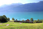 Zentralbahn Triebzug 160 004 im morgendlichen Gegenlicht am Brienzersee.