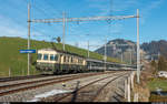 SOB BDe 576 058 am Zugschluss des Extrazuges der Höfner Narrenfahrt Wollerau - Rothenthurm am 6.