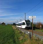 Hier kommt nur einer durch! Whrend rechts und links der Bahnlinie (Teil-) Durchgangsverbote herrschen, hat RABe 526 719 freie Fahrt. Er ist hier als R 9835 (Konstanz-Weinfelden) oberhalb Kreuzlingen unterwegs. (9.November 2010)