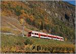 Der TMR Region Alps RABe 525 038 ist als Regionalzug auf der Fahrt von Le Châble nach Martigny und fährt kurz vor Bovernier durch bunte Rebberge, die jetzt im Spätherbst erst kurz nach Mittag in den Genuss der Sonne kommen. 

6. Okt. 2020