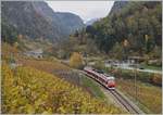 Das enge Tal weitet sich bei Bovernier etwas, so dass an den steilen Hänge sogar Wein angepflanzt werden kann. Ein TMR Region Alpes RABe 525 ist von Le Châble nach Martigny unterwegs und wird in Kürze Bovernier erreichen. 

5. November 2020