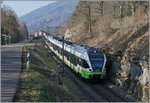 Die zwei trn / transN Flirts RABe 527 332 und 333, unterwegs als RE von Le Locle nach Neuchâtel haben den Spitzkehr-Bahnhof Chambrelien verlassen und fahren nur bergab Richtung Neuchâtel.