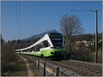 Die zwei transN-Flirt 527 333 und 332 erreichen als RE 3965 von Le Locle kommend in Kürze Chambrelien.