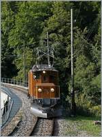 50 Jahre Blonay Chamby - MEGA BERNINA FESTIVAL: Durch die  Taufe  der Bernina Bahn Ge 4/4 81 ergeben sich am späteren Nachmittag einige Verzögerungen im Program was zur Folge hatte, dass der