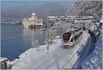 Der SBB Flirt RABe 523 010 hat Villeneuve verlassen und fährt nun vor dem Hintergrund des verschneiten Château de Chillon Richtung Montreux.