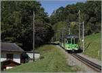 Aus der Gegenrichtung erreicht kurz darauf der BDeh 4/4 81 mit seinem Bt 63 als Regionalzug 537 von Villars sur Ollon nach Bex den Ort Les Posses.

11. Oktober 2021