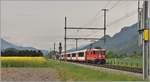 Glacier Express 903 mit Ge 4/4 II 628  S-chanf  zwischen Domat/Ems und Felsberg. (02.05.2018)