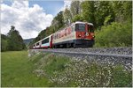 Glacier Express 902 aus dem Wallis mit Ge 4/4 II 622  Arosa  zwischen Trin und Reichenau-Tamins. (15.05.2016)
