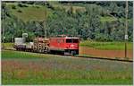 Ge 6/6 II 705  Pontresina/Puntraschigna  ist mit einem kurzen Güterzug Richtung Albula unterwegs. (05.06.2018)