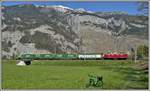 5732 mit dem Valserwasserzug aus Ilanz mit der Ge 4/4 I 610  Viamala  und den neuen Valser Wechselpritschen zwischen Chur West und Felsberg. (08.04.2020)