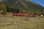 Bahnoldtimer im Stundentakt: Der  Fliegende Rhätier  ABe 4/4 501 fährt am 16.10.2016 von Bever Richtung Samedan.