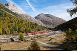 RhB ABe 4/4 III 56 & 53 / Berninapass, 15. Oktober 2023<br>
Bernina Express Tirano - St. Moritz