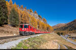 Am 24.10.2021 ist RhB Ge 4/4 II 613 unterwegs mit einem Engadin Star und konnte hier bei La Punt aufgenommen werden