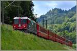 RE1265 mit Ge 4/4 II 619  Samedan  bei Reichenau-Tamins.