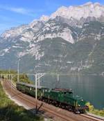 Das SBB Krokodil Be 6/8 III Nr. 13302 fuhr am 23. September 2017 die Walenseelinie entlang in Richtung Sargans. Im Hintergrund über den fjordähnlichen Walensee ziehen sich die steil aufragenden Churfirsten wie eine Schlange von Osten nach Westen.
