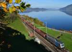 187er Railpool Stahltransport bei Immensee.